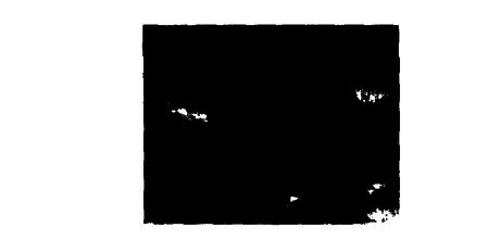 1582550259672574.jpg 未標題-1.jpg