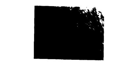 1582550271113453.jpg 未標題-2.jpg